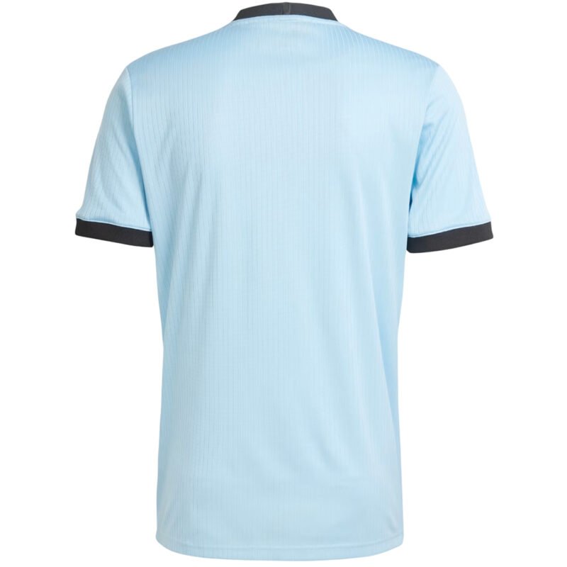 ⁦Germany 2025-26 Anniversary sky blue Jersey⁩ - الصورة ⁦2⁩