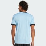 ⁦Germany 2025-26 Anniversary sky blue Jersey⁩ - الصورة ⁦4⁩