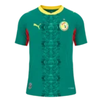 Senegal 2026-27 Home Jersey World Cup