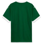 Palmeiras 2025-26 Home Shirt - Image 4