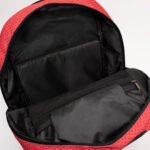 Jordan Jersey Backpack Red - Image 5